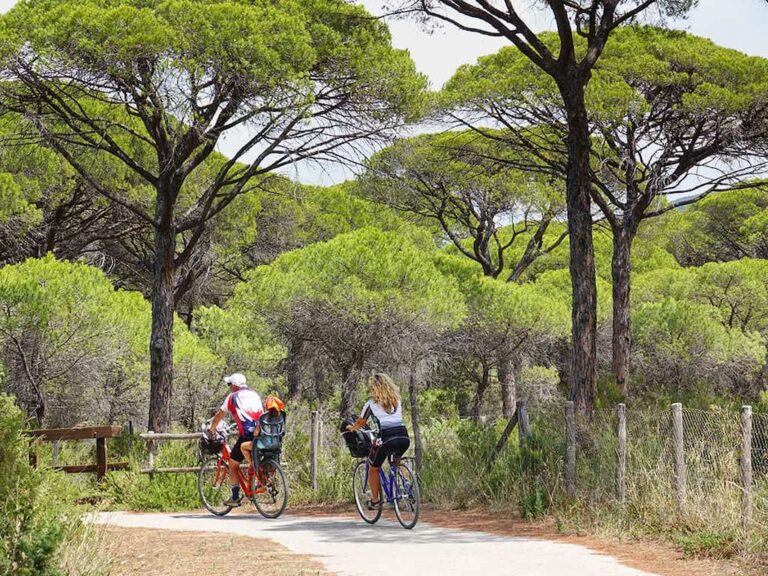 Toscana in bici ecco i migliori percorsi della Maremma