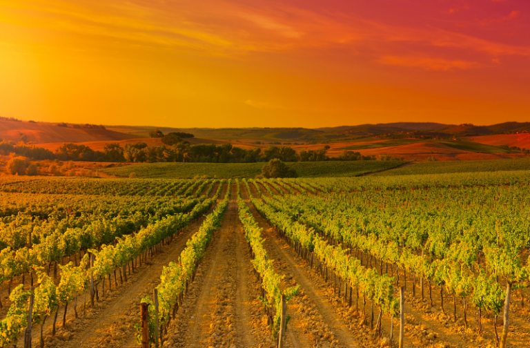 Vacanza in Toscana con convenienza