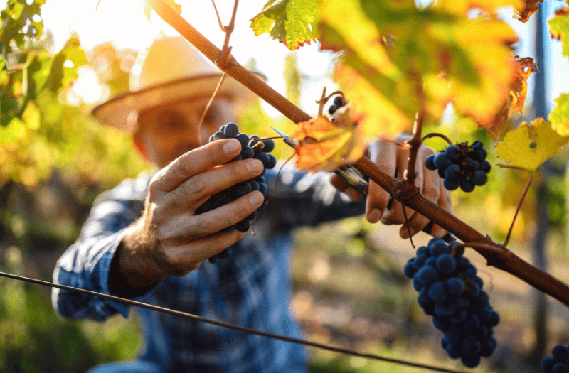 Un weekend in Toscana a settembre